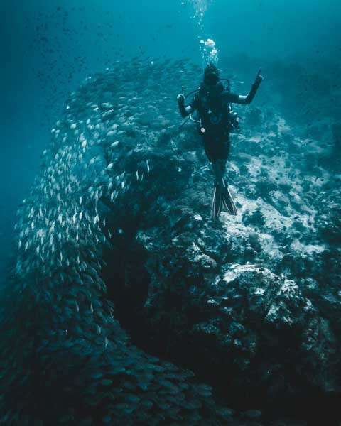 Diving in Gili Trawangan - DPM