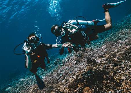 Divemaster Koh Tao: Professional Diving Course