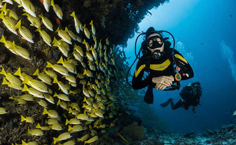 DPM Diving - Scuba in Spain, Indonesia & Thailand