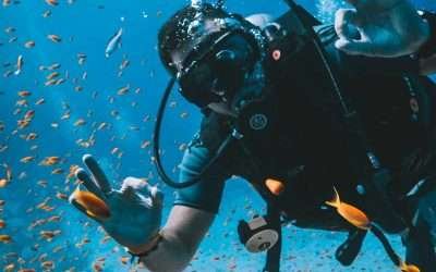 The Different Types of Diving: Exploring the Depths!