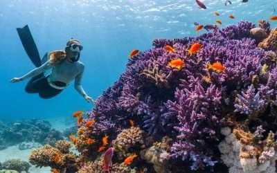 Snorkeling in Gili Trawangan: Explore the vibrant underwater world