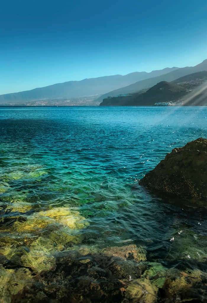 All about scuba diving baptism! How and where to do it 3 Baptism scuba diving tenerife