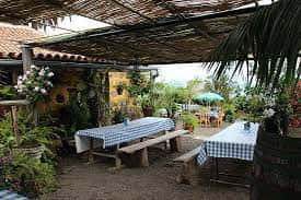 Where to Eat in Tenerife? Discover 7 Unique Spots Across the Island 7 Guachinche