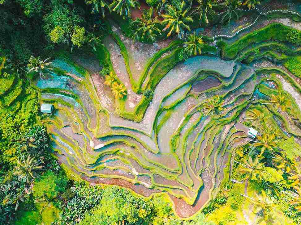 Cuándo-viajar a-Indonesia-Cuál-es-el-mejor-mes Cuando-viajar-a-Indonesia-Cual-es-el-mejor-mes