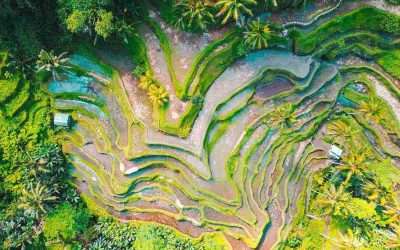 When to Travel to Indonesia? Which is the Best Month?