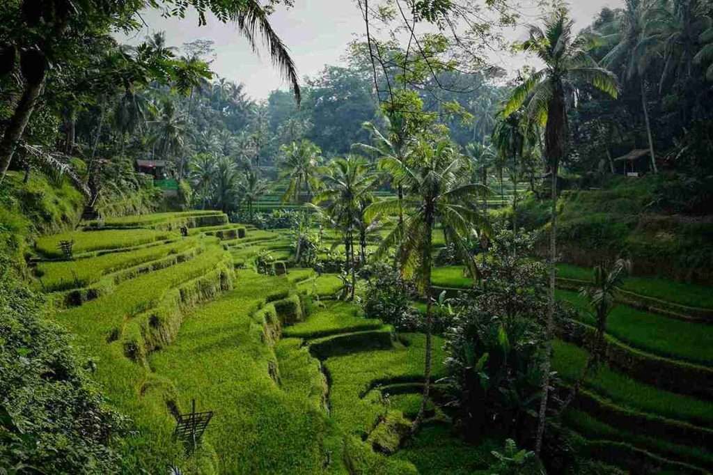 Guía completa de las mejores islas de Indonesia 1 Las 10 islas de Indonesia más populares: Bali