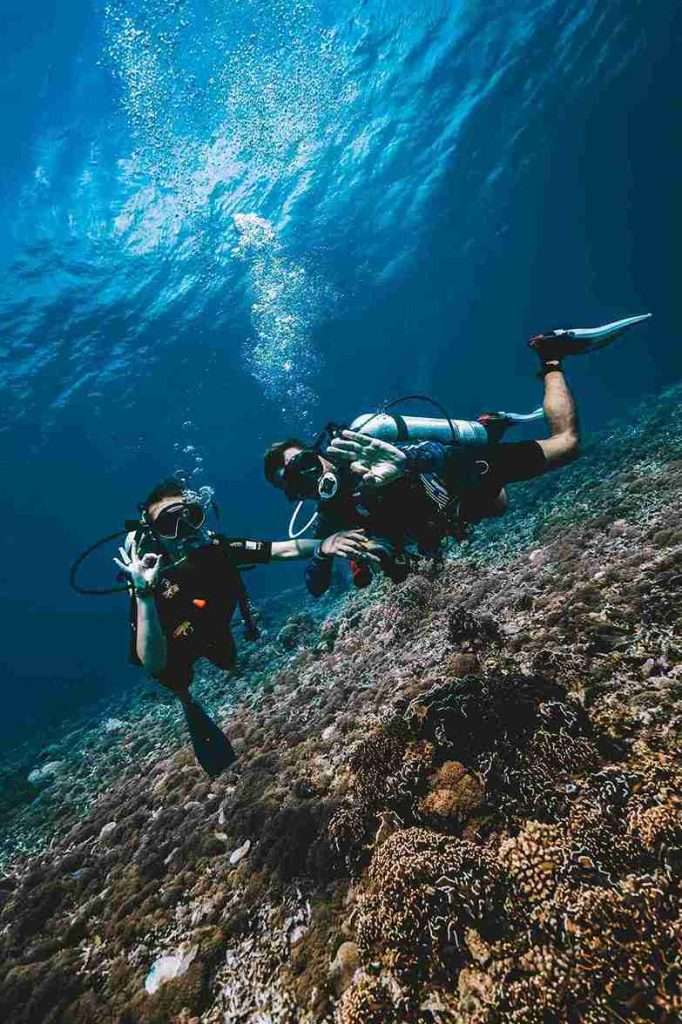 Los mejores puntos de buceo en Koh Tao: Guía completa 3 8 lugares para bucear en Koh Tao - White Rock