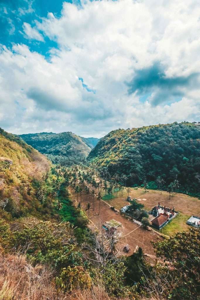 9 lugares únicos para bucear en Nusa Penida - Mangrove Point