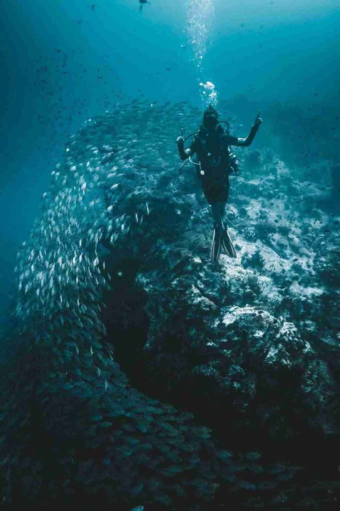 Los mejores puntos de buceo en Koh Tao: Guía completa 2 8 lugares para bucear en Koh Tao - Southwest Pinnacle