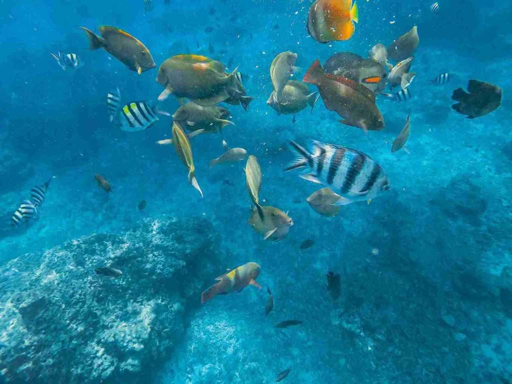 Guía completa para viajar a Gili Air: Aventura y relax 2 Qué ver en Gili Air