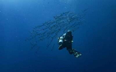 Diving with Nitrox: Everything You Need to Know