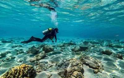 Dónde bucear en Gili Air: Guía definitiva con mapa