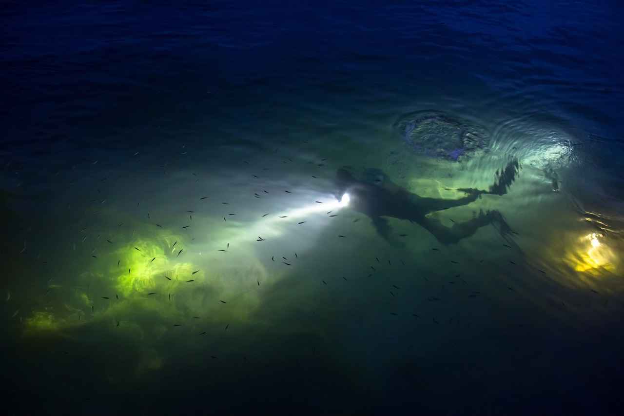 La inmersión nocturna: Todo sobre el buceo nocturno
