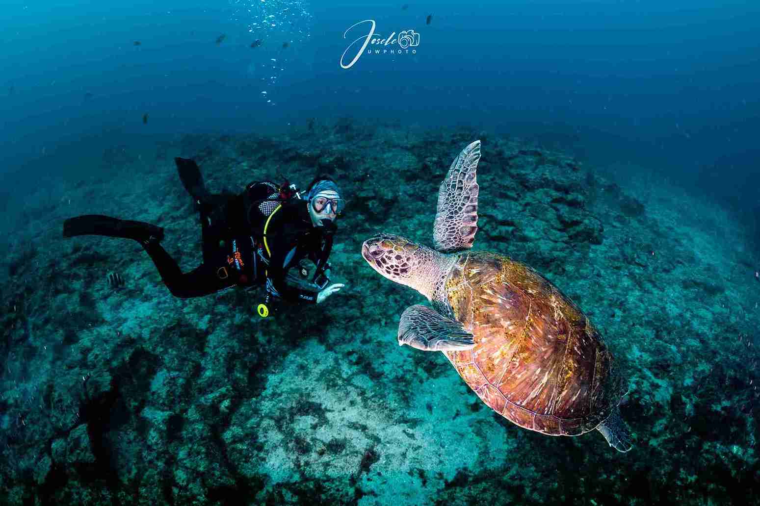 Puntos de Buceo en Tenerife ¡Con Mapa! 
Puntos de Buceo en Tenerife