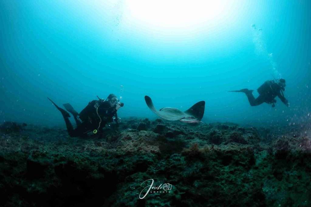 Puntos de Buceo en Tenerife ¡Con Mapa! 3 7 puntos de buceo en Tenerife únicos - Puertito de Armeñime