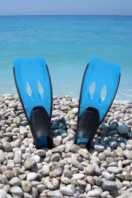 The best gift ideas for divers 2 Fins