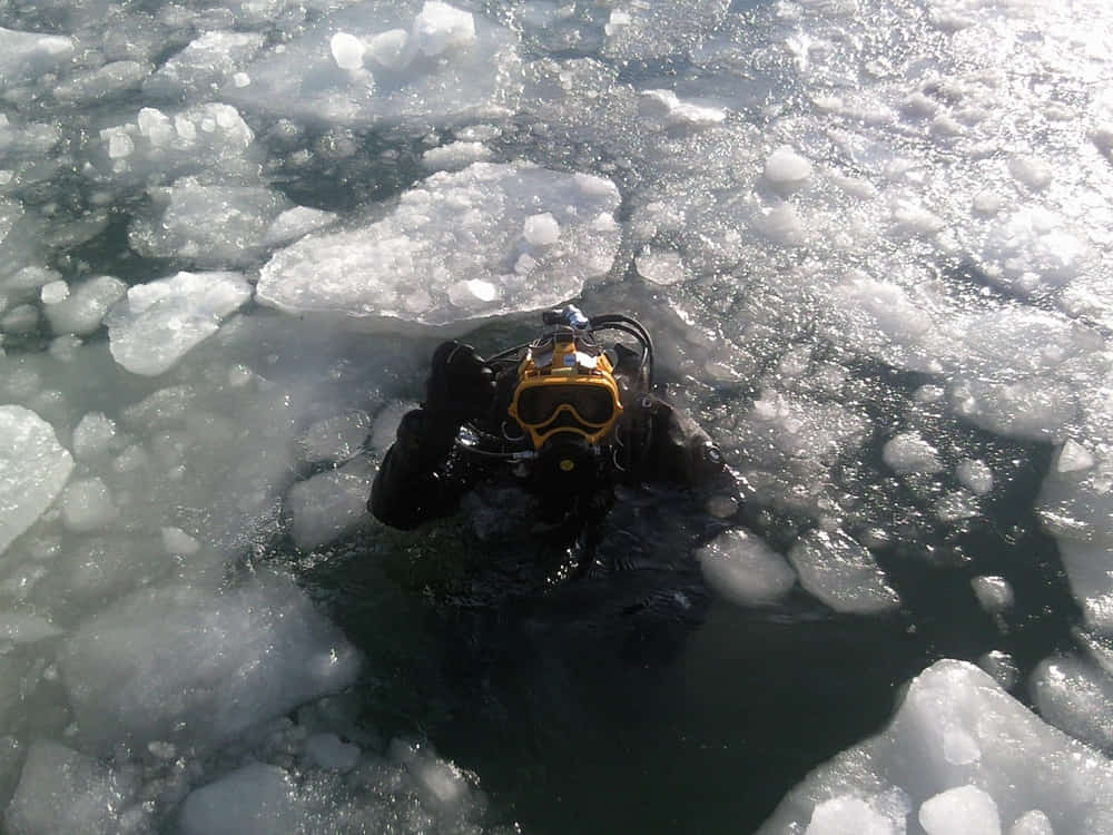 El buceo bajo hielo: una experiencia extrema 1 ¿Qué es el buceo bajo hielo?