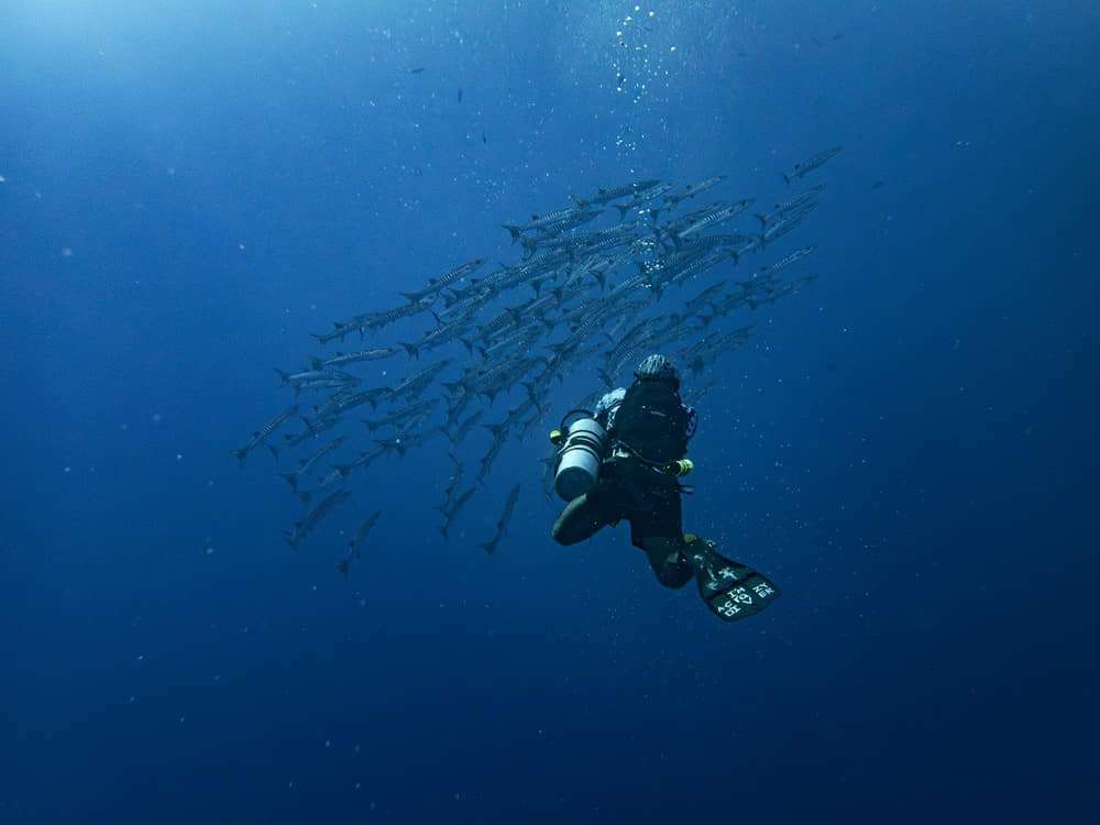 ¿Es bueno el buceo para la salud? 1 Beneficios del buceo para la salud