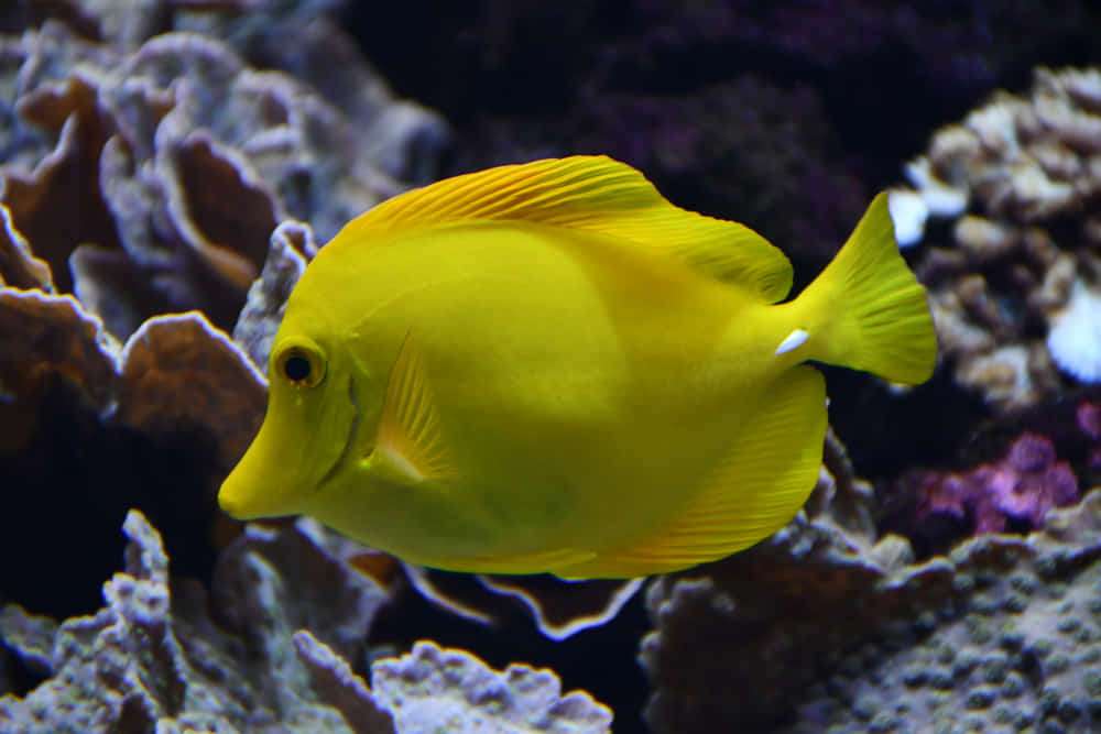 What are marine ecosystems? Key to life 3 marine ecosystem 5 - What are marine ecosystems? Key to life