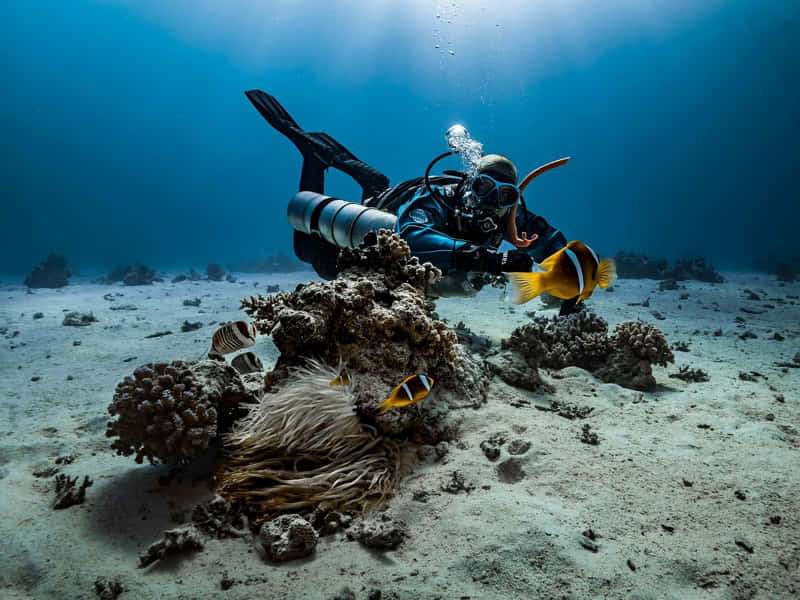 ¿Cuánto gana un instructor de buceo?