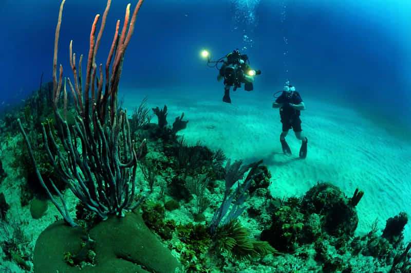 ¿Qué es la parada de seguridad en buceo? ¿Cómo y cuándo hacerla? 1 La descompresión en buceo