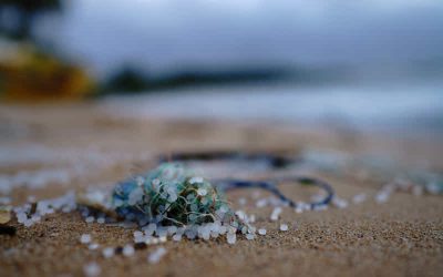 Microplásticos: qué son, dónde están y por qué deberías preocuparte