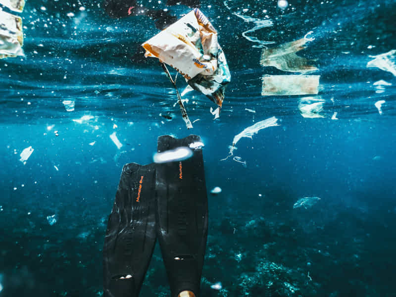 Microplastics: what they are, where they are, and why you should care 1 The impact of microplastics on the environment and human health