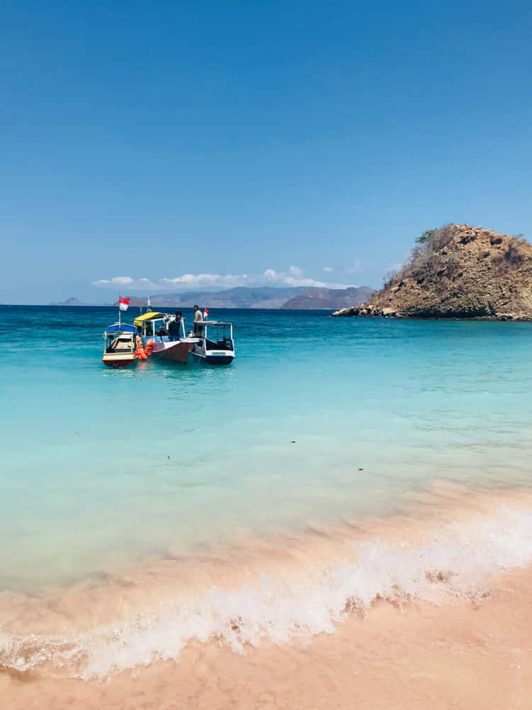 Where to Dive in Indonesia – The Best Places to Explore Underwater 2 Komodo