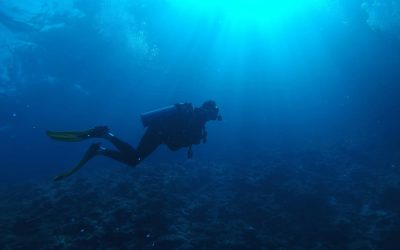 Buceo en corrientes: Cómo disfrutarlo con seguridad