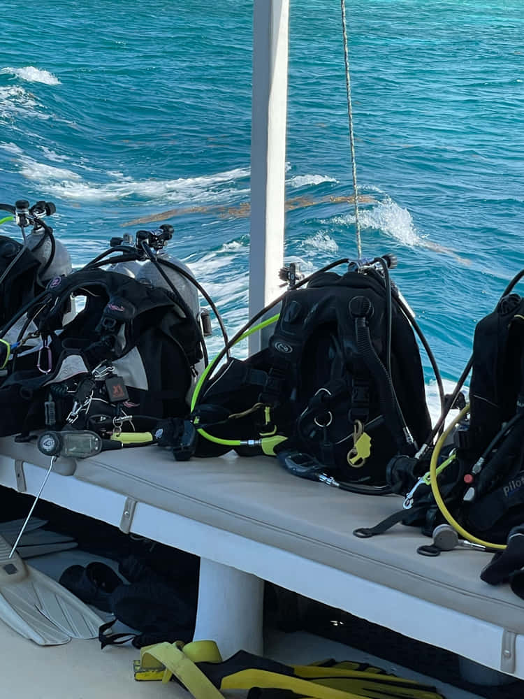 How to choose your dive gear: a guide to get it right 1 Dive gear