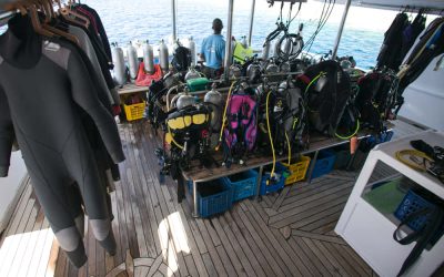 ¿Cómo elegir tu equipo de buceo? Guía para no fallar