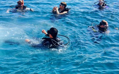 What is adaptive diving and how does it work?