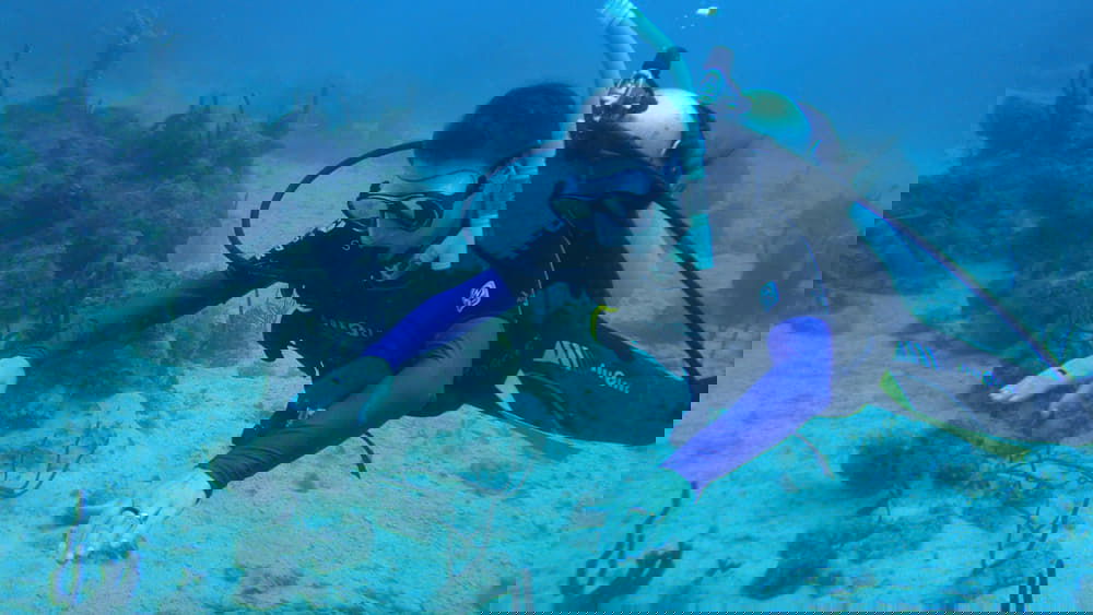 What is adaptive diving and how does it work? 1 What is adaptive diving