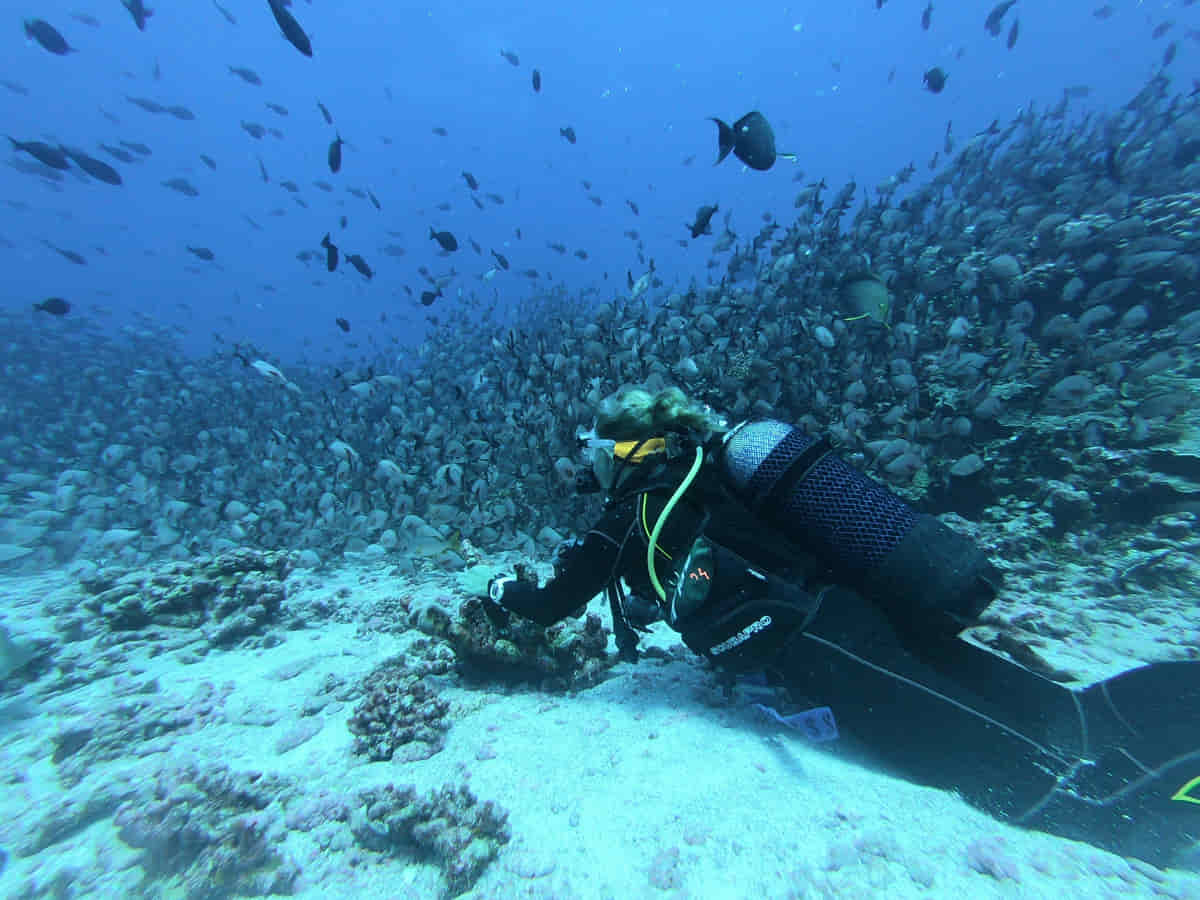 Buceo Científico
