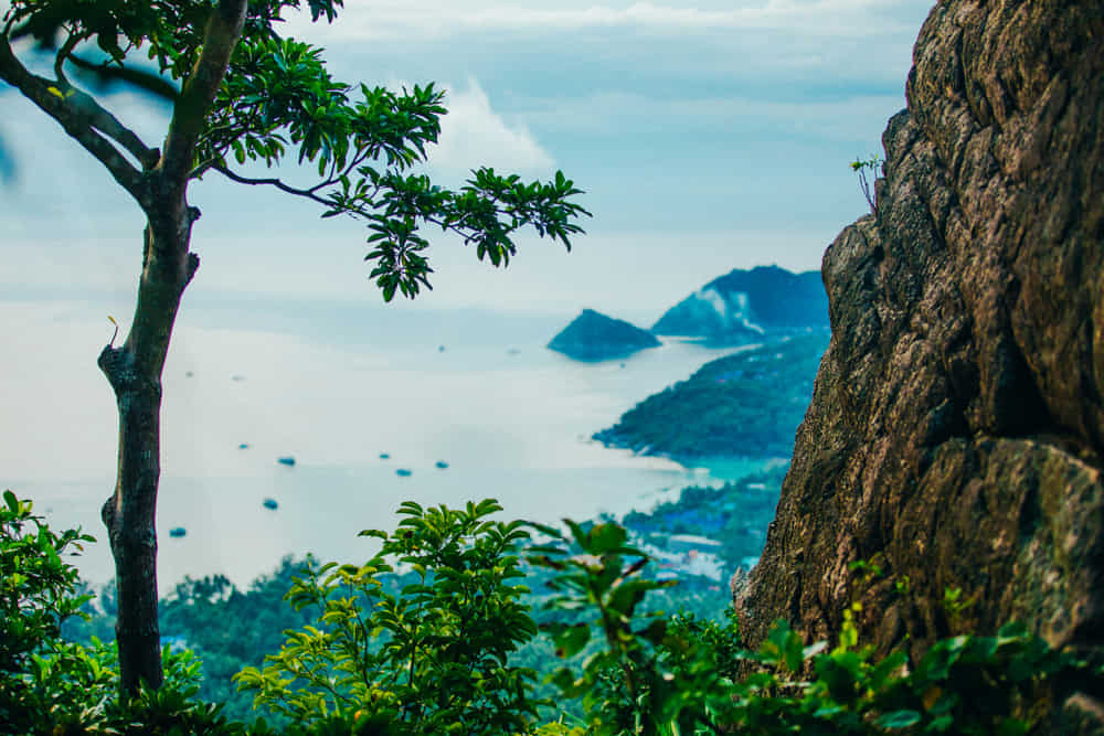 Diving in Thailand: why it’s one of the world’s top destinations 1 Where to Dive in Thailand