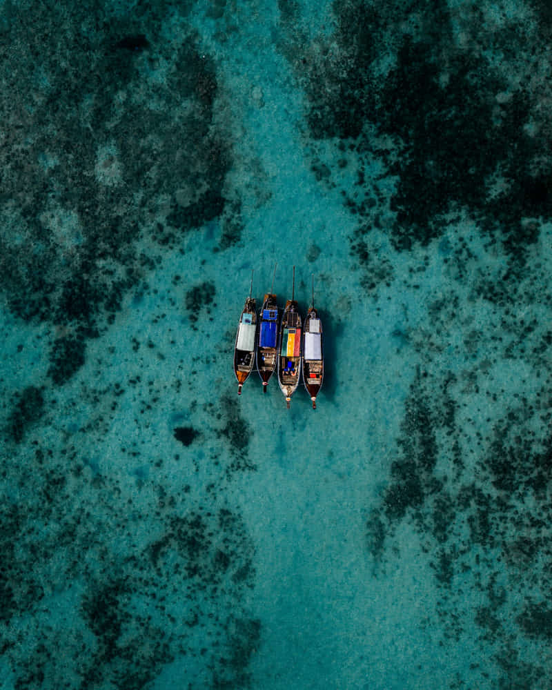 ¿Cómo ir de Phuket a Phi Phi? 2 como ir de phuket a phi phi