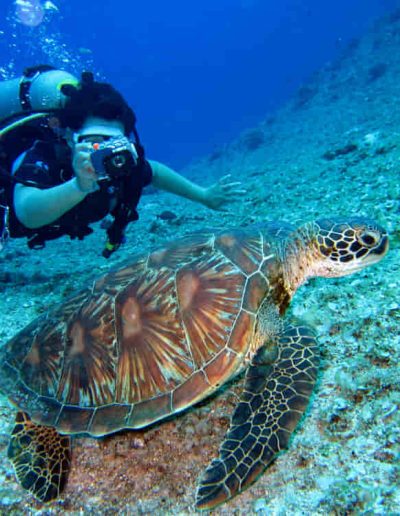 Diving in Gili Islands 19 Elegir curso de buceo