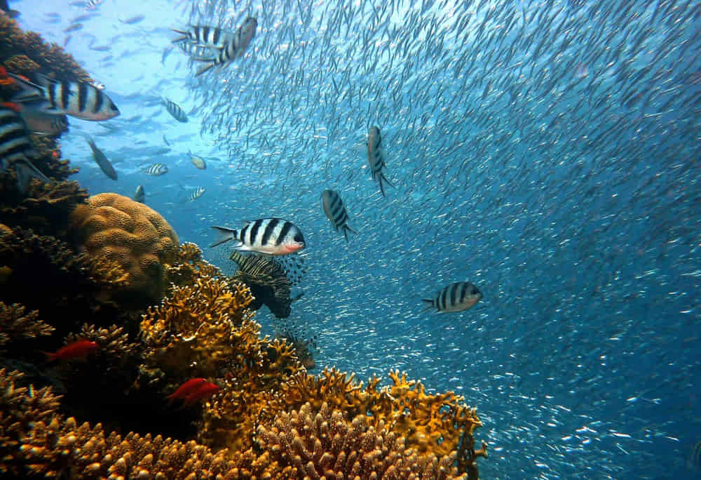 What is thalassophilia? Why do so many people feel a deep love for the sea? 2 thalassophilia