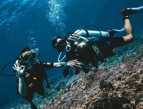 Untitled design - 2025-10-29T125503.150 Untitled design 2025 10 29T125503.150 - Diving in Gili Islands