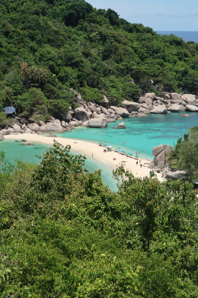 Best Time to Dive in Koh Tao