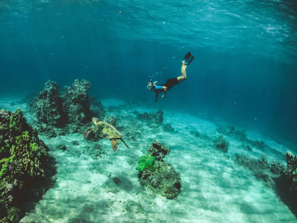 What is the difference between snorkeling and diving? pros, cons and tips 3 Snorkeling vs Diving