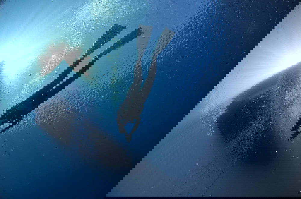 scuba diving certification