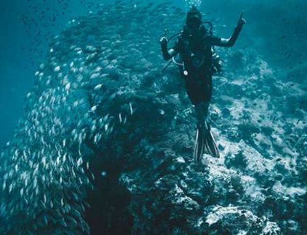 Untitled design - 2025-11-10T132033.794 Untitled design 2025 11 10T132033.794 - Diving in Koh Tao