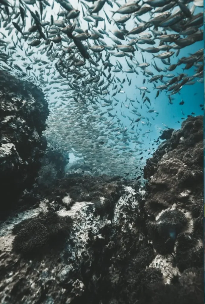 Open Water 30 Programme in Koh Tao — Course image 4