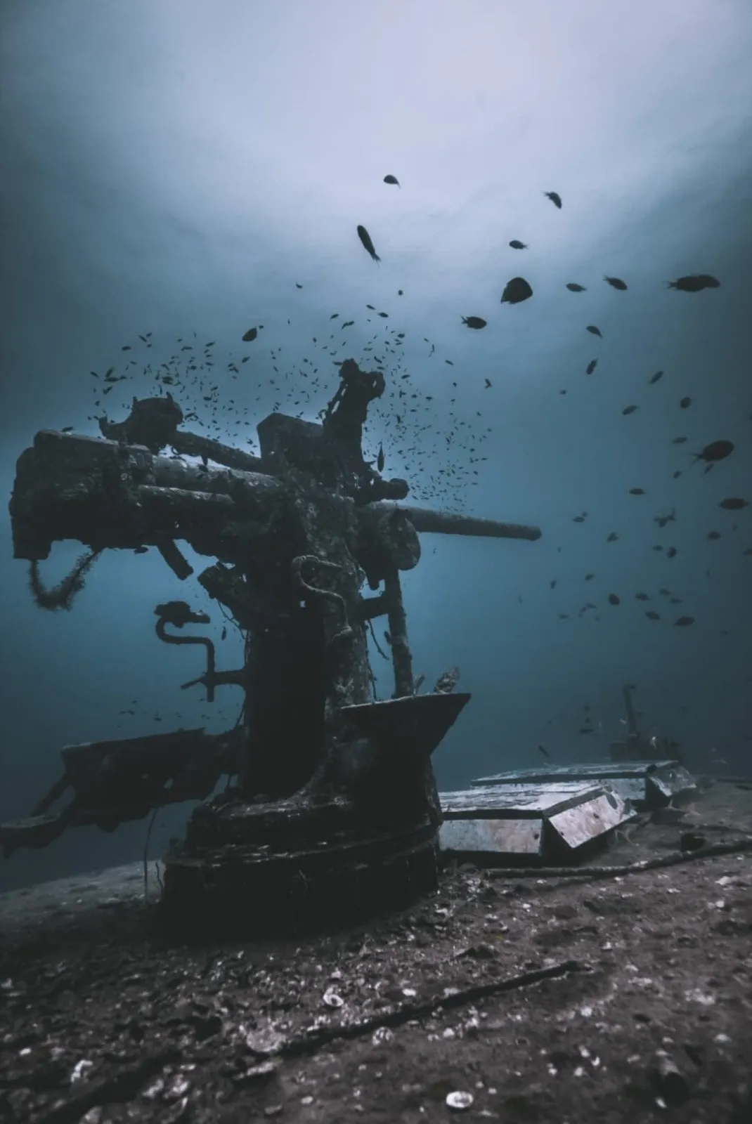 SSI Advanced Course in Koh Tao