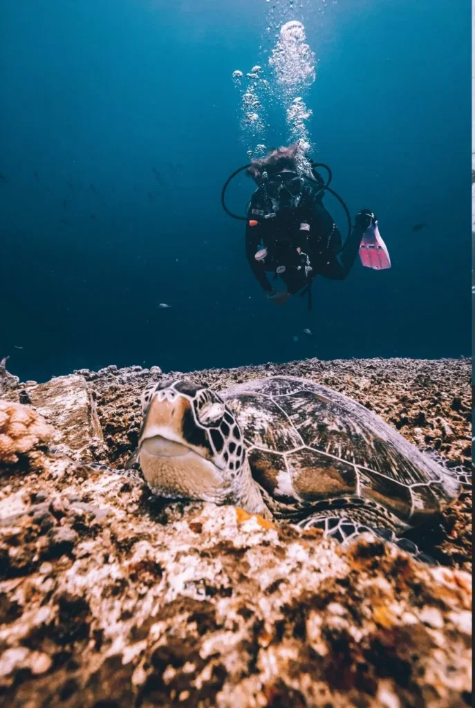 Fun Dives in Gili Trawangan — Course image 6