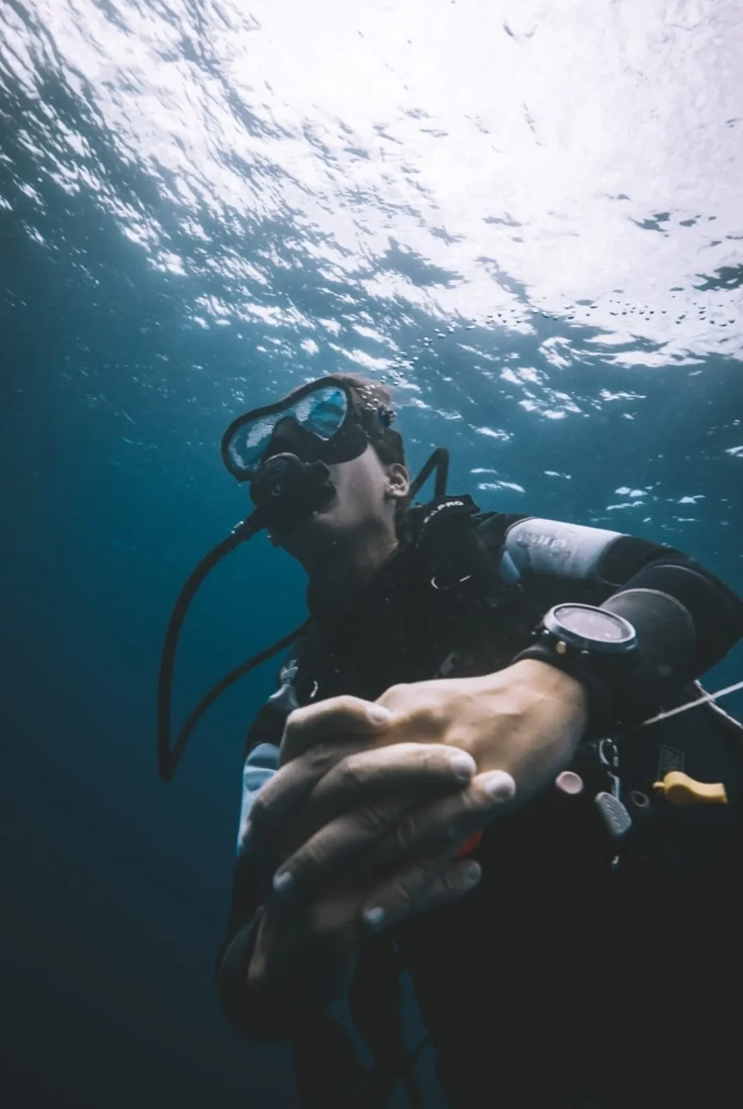 Fun Dives in Koh Phi Phi