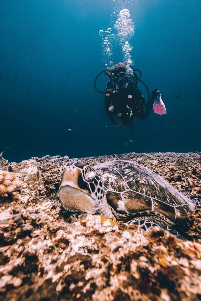 Open Water 30 in Gili Trawangan — Course image 2