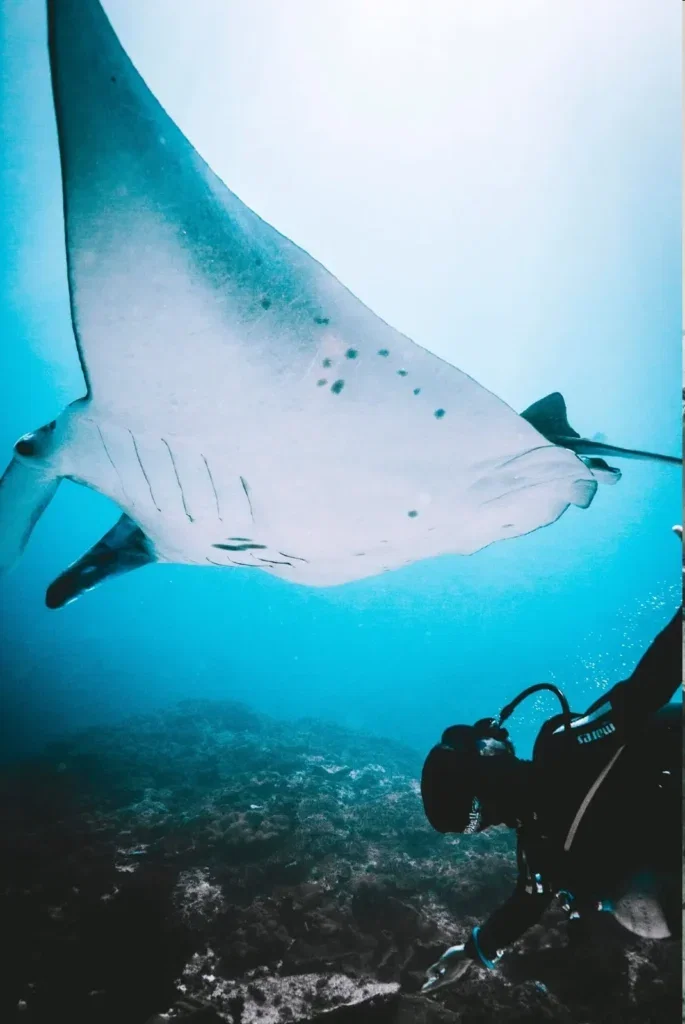 SSI Open Water Course in Nusa Penida — Course image 2