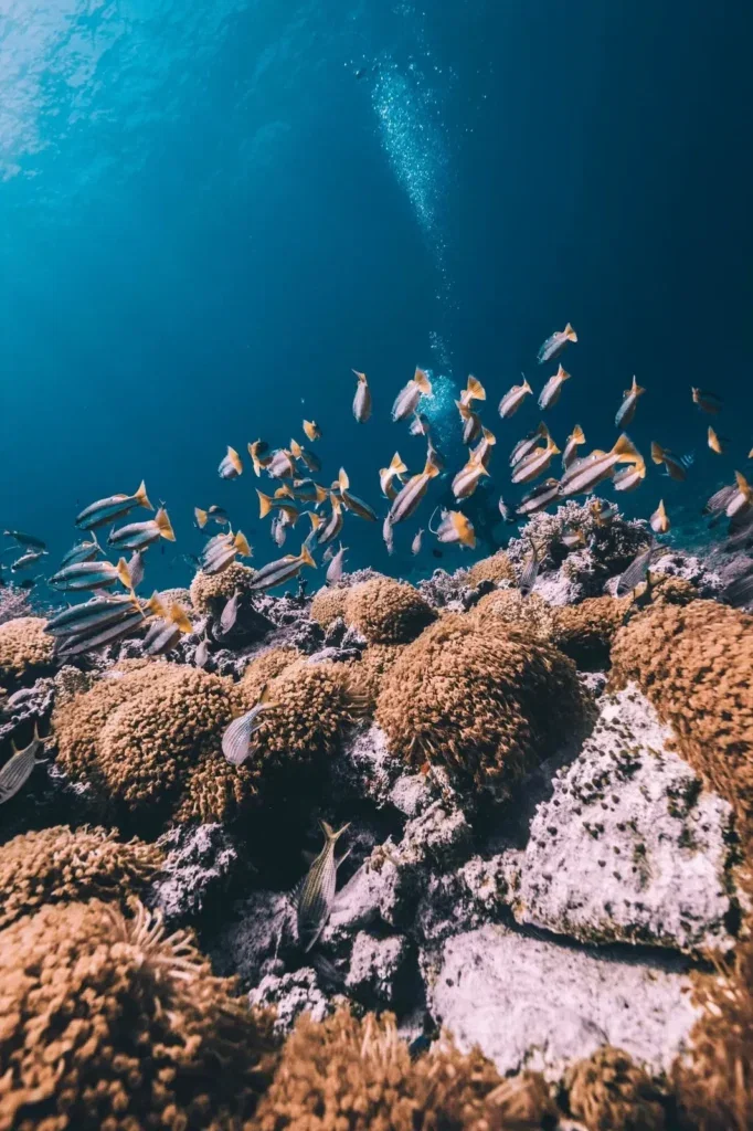 Try Scuba Diving in Gili Trawangan — Course image 3